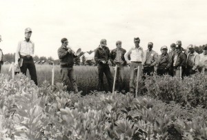 Pembina Forage Association